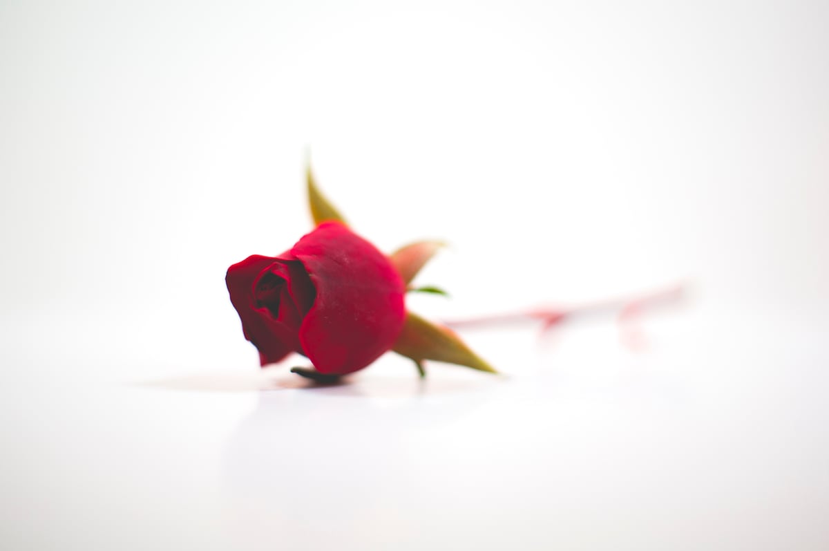 Valentine's Day Jokes For Kids Or Adult 14 Valentine’s Day Jokes