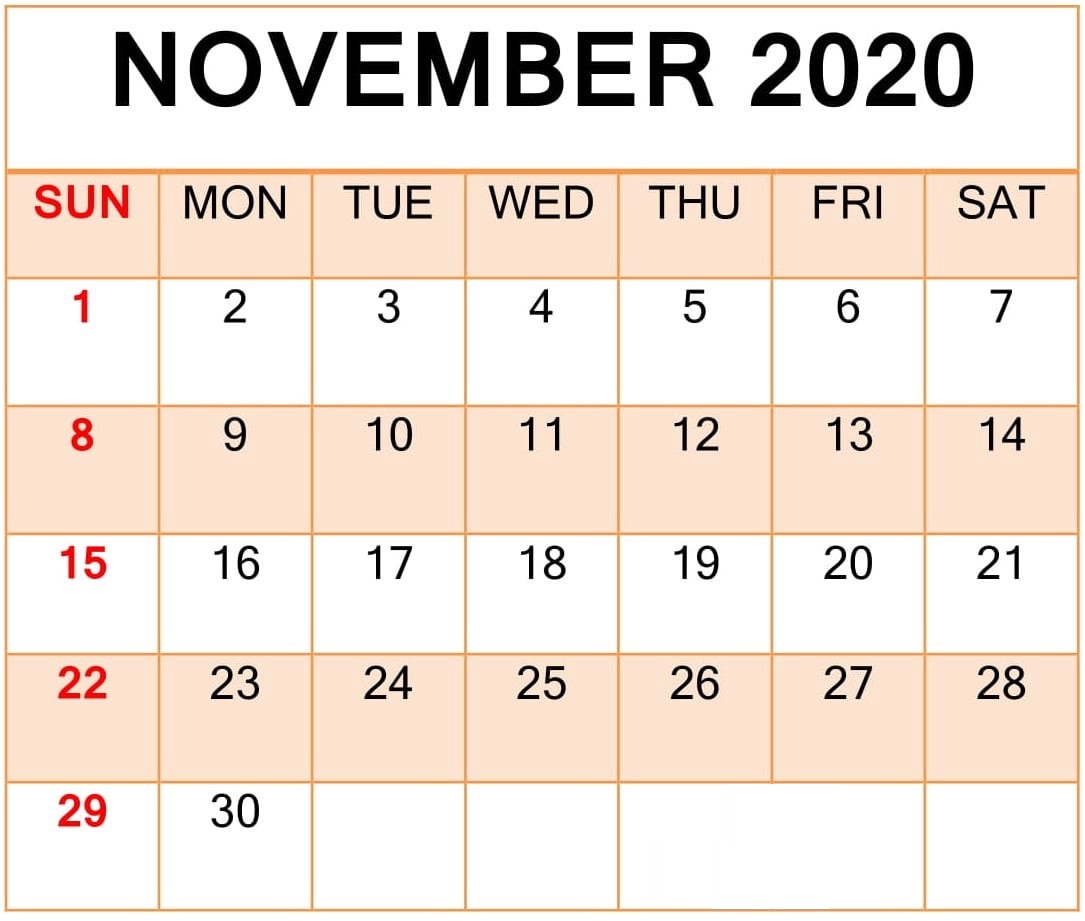 Show Calendar For November 2020 Kalendar Kuda Free Printable