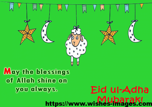 Eid Ul Adha Gif Video Download
